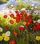 Shadow Poppies, Sunlit Poppies by Shirley Novak